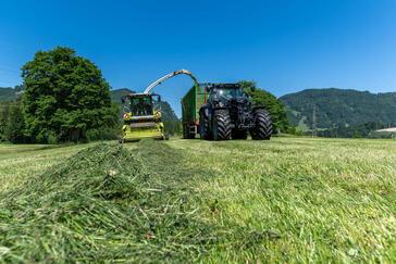 Landwirt füttert Regenwürmer mit Kleegras: Das sind die Gründe dafür