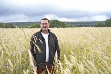 Bio-Landwirt geht neue Wege: Darum profitiert Getreide vom Damm-Anbau